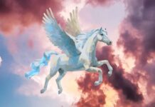 Pegasus spyware