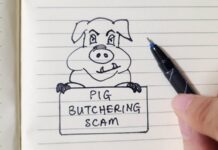 pig butchering scam